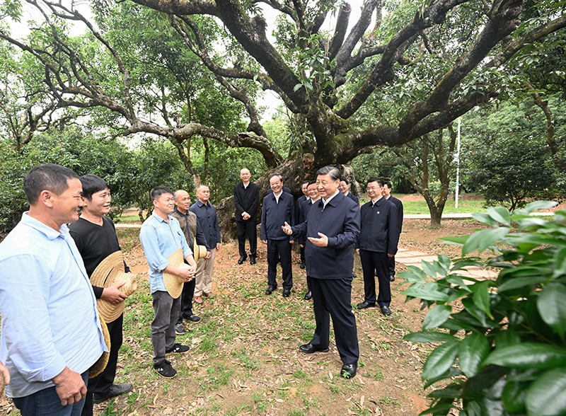 918博天堂(中国游)最新官方网站