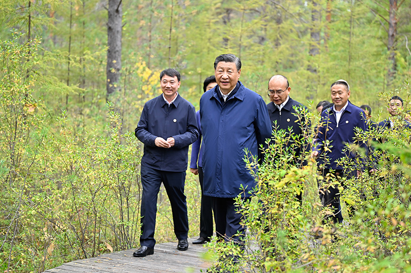 9月6日至8日，，，，，中共中央总书记、国家主席、中央军委主席习近平在黑龙江考察。。。。。。这是6日下昼，，，，，习近平在大兴安岭地区漠河市漠河林场自然林区考察